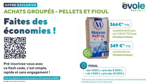 Commande groupée FIOUL et PELLETS